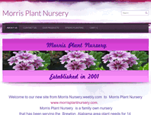 Tablet Screenshot of morrisplantnursery.com